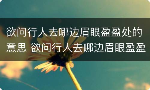 欲问行人去哪边眉眼盈盈处的意思 欲问行人去哪边眉眼盈盈处是什么意思