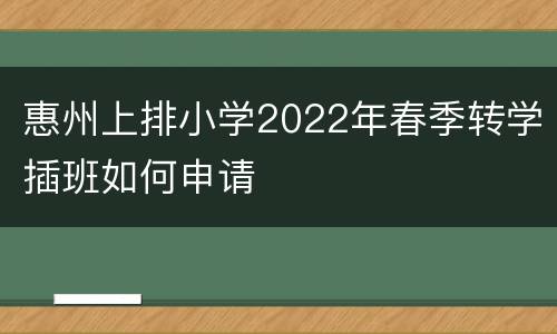 惠州上排小学2022年春季转学插班如何申请