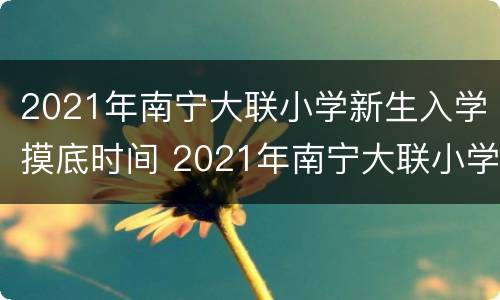 2021年南宁大联小学新生入学摸底时间 2021年南宁大联小学新生入学摸底时间查询