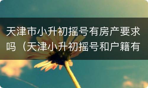 天津市小升初摇号有房产要求吗（天津小升初摇号和户籍有关嘛）