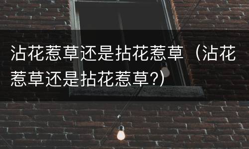 沾花惹草还是拈花惹草（沾花惹草还是拈花惹草?）