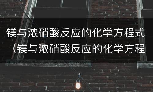镁与浓硝酸反应的化学方程式（镁与浓硝酸反应的化学方程式怎么写）