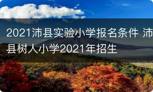 2021沛县实验小学报名条件 沛县树人小学2021年招生