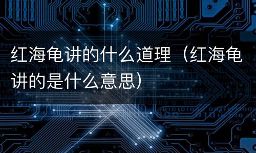红海龟讲的什么道理（红海龟讲的是什么意思）