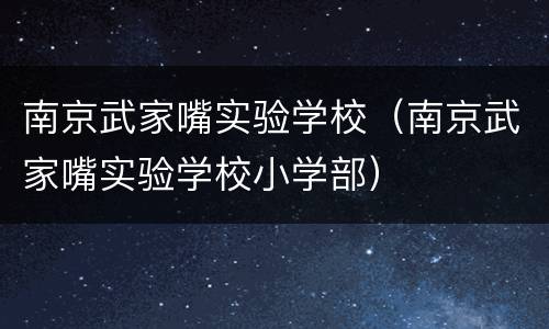南京武家嘴实验学校（南京武家嘴实验学校小学部）