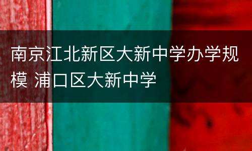 南京江北新区大新中学办学规模 浦口区大新中学