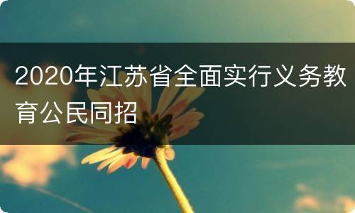 2020年江苏省全面实行义务教育公民同招