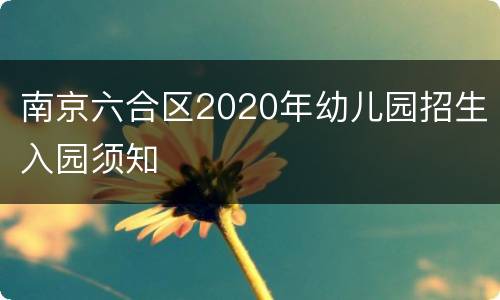 南京六合区2020年幼儿园招生入园须知