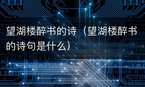 望湖楼醉书的诗（望湖楼醉书的诗句是什么）