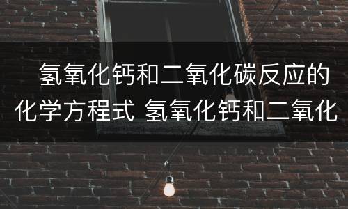 ​氢氧化钙和二氧化碳反应的化学方程式 氢氧化钙和二氧化碳发生反应的化学方程式为