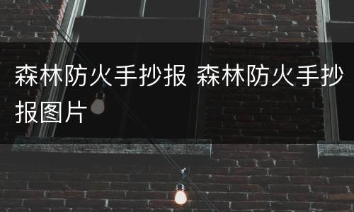 森林防火手抄报 森林防火手抄报图片