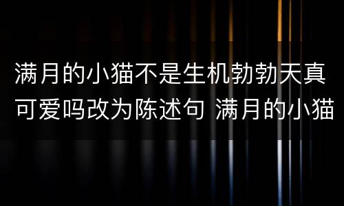 满月的小猫不是生机勃勃天真可爱吗改为陈述句 满月的小猫不是生机勃勃天真可爱吗改为陈述句怎么写