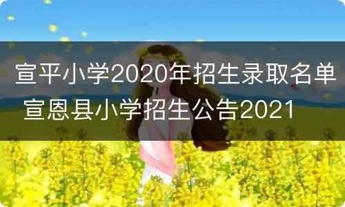 宣平小学2020年招生录取名单 宣恩县小学招生公告2021
