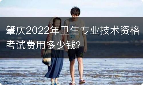 肇庆2022年卫生专业技术资格考试费用多少钱？