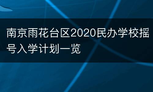 南京雨花台区2020民办学校摇号入学计划一览