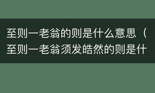 至则一老翁的则是什么意思（至则一老翁须发皓然的则是什么意思）