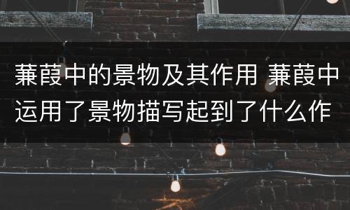 蒹葭中的景物及其作用 蒹葭中运用了景物描写起到了什么作用