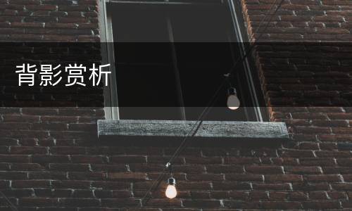 背影赏析