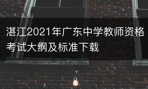 湛江2021年广东中学教师资格考试大纲及标准下载