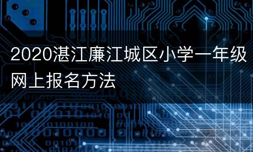 2020湛江廉江城区小学一年级网上报名方法