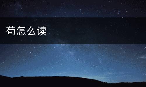 荀怎么读
