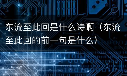东流至此回是什么诗啊（东流至此回的前一句是什么）