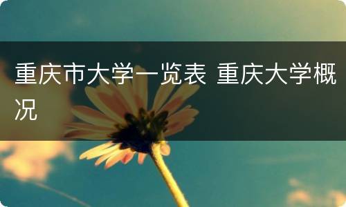重庆市大学一览表 重庆大学概况