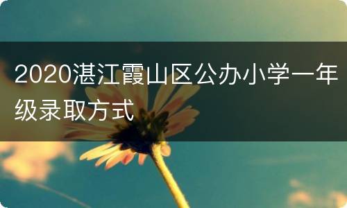 2020湛江霞山区公办小学一年级录取方式