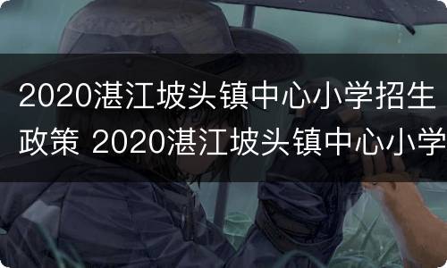 2020湛江坡头镇中心小学招生政策 2020湛江坡头镇中心小学招生政策公告