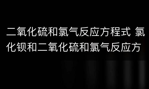 二氧化硫和氯气反应方程式 氯化钡和二氧化硫和氯气反应方程式