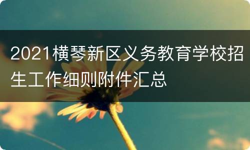 2021横琴新区义务教育学校招生工作细则附件汇总