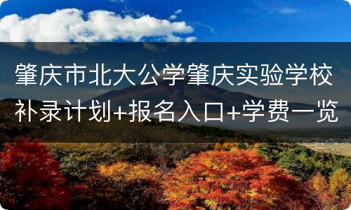 肇庆市北大公学肇庆实验学校补录计划+报名入口+学费一览