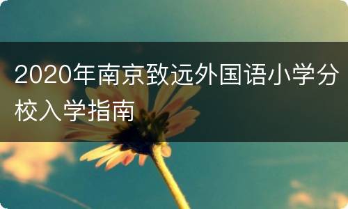 2020年南京致远外国语小学分校入学指南