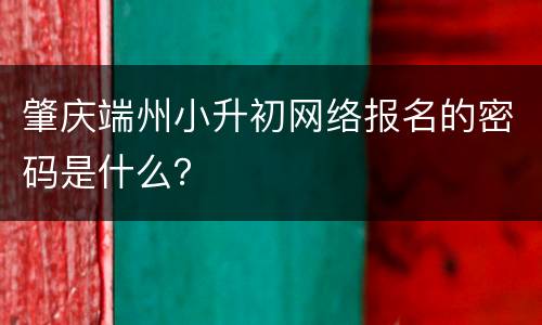 肇庆端州小升初网络报名的密码是什么？