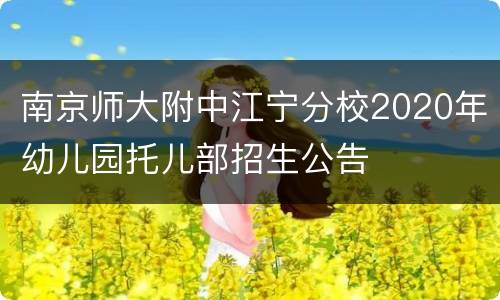 南京师大附中江宁分校2020年幼儿园托儿部招生公告