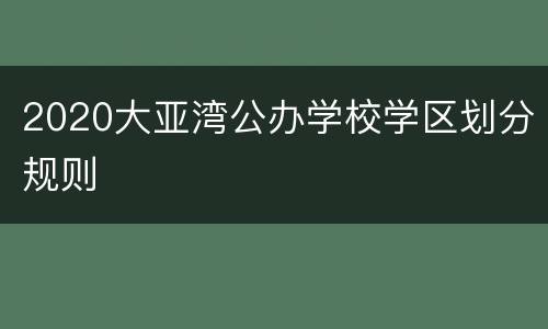 2020大亚湾公办学校学区划分规则