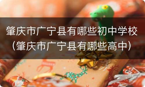肇庆市广宁县有哪些初中学校（肇庆市广宁县有哪些高中）