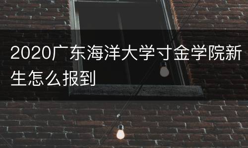 2020广东海洋大学寸金学院新生怎么报到