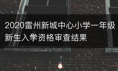 2020雷州新城中心小学一年级新生入学资格审查结果