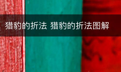 猎豹的折法 猎豹的折法图解