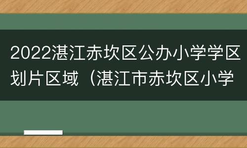 2022湛江赤坎区公办小学学区划片区域（湛江市赤坎区小学学区划分）