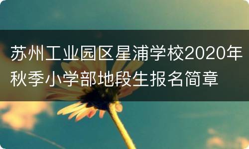 苏州工业园区星浦学校2020年秋季小学部地段生报名简章