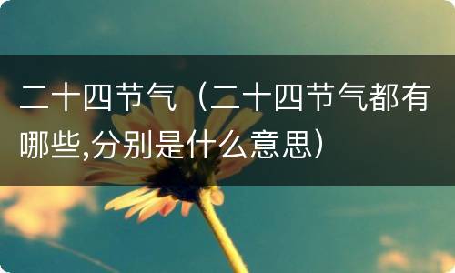 二十四节气（二十四节气都有哪些,分别是什么意思）