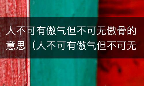 人不可有傲气但不可无傲骨的意思（人不可有傲气但不可无傲骨的意思简单）