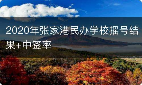2020年张家港民办学校摇号结果+中签率