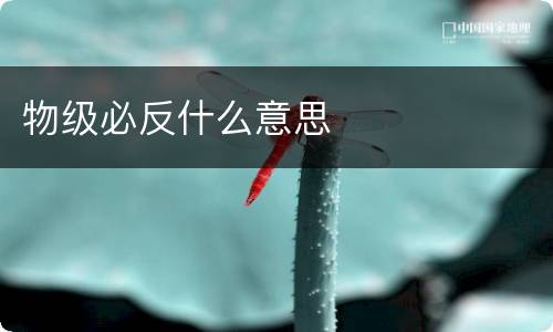 物级必反什么意思