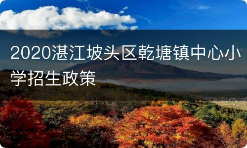 2020湛江坡头区乾塘镇中心小学招生政策