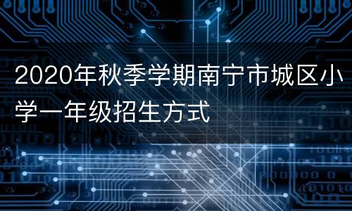 2020年秋季学期南宁市城区小学一年级招生方式