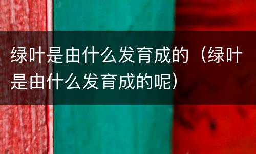 绿叶是由什么发育成的（绿叶是由什么发育成的呢）