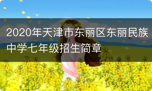 2020年天津市东丽区东丽民族中学七年级招生简章